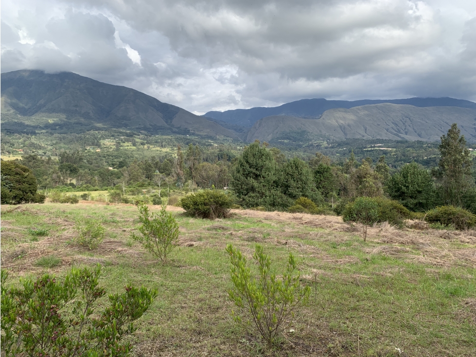 Vereda Llano Blanco Villa de Leyva — foto 2