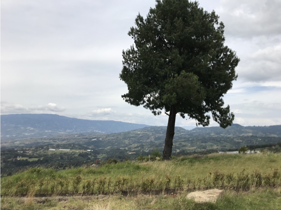 Finca Vereda Capilla (9,5 Hectáreas) - 3