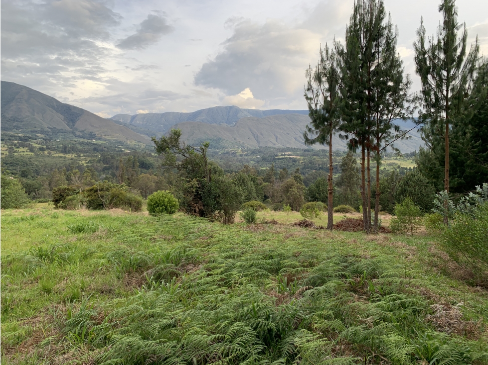 Vereda Llano Blanco Villa de Leyva — foto 3