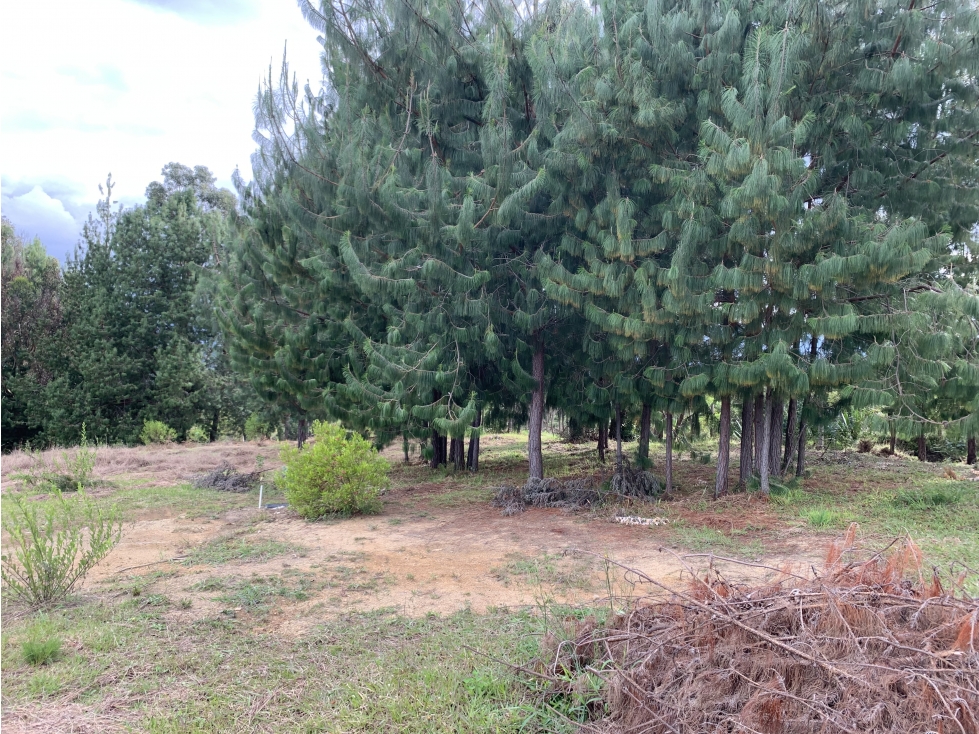 Vereda Llano Blanco Villa de Leyva — foto 4