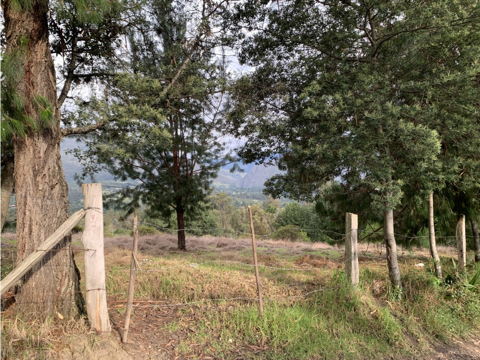 Vereda Llano Blanco Villa de Leyva — foto 5