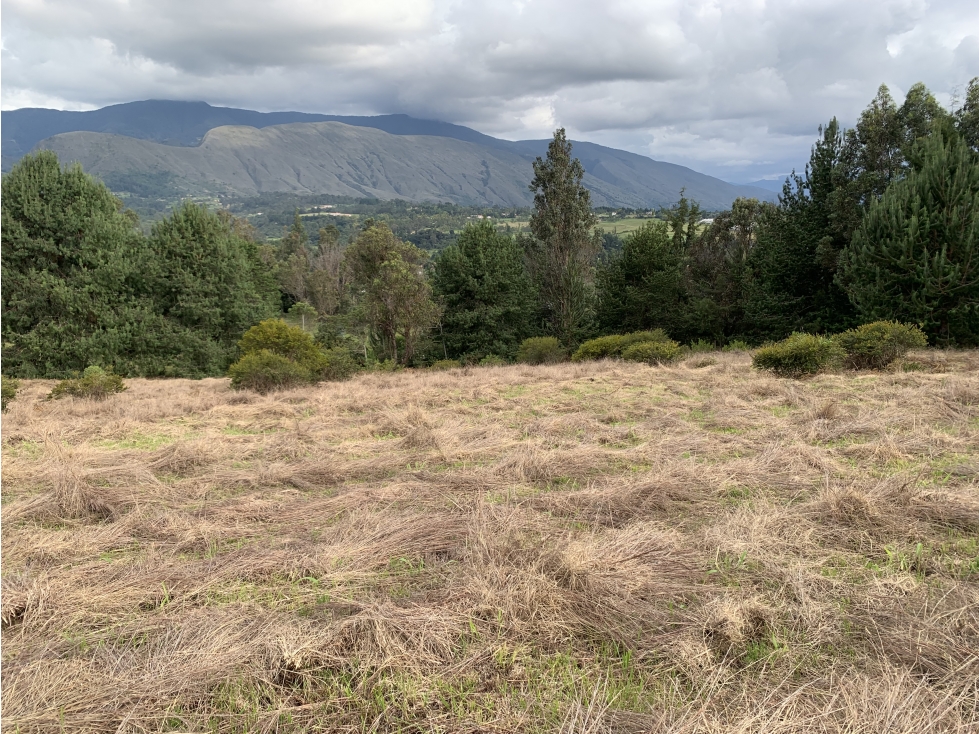 Vereda Llano Blanco Villa de Leyva — foto 6