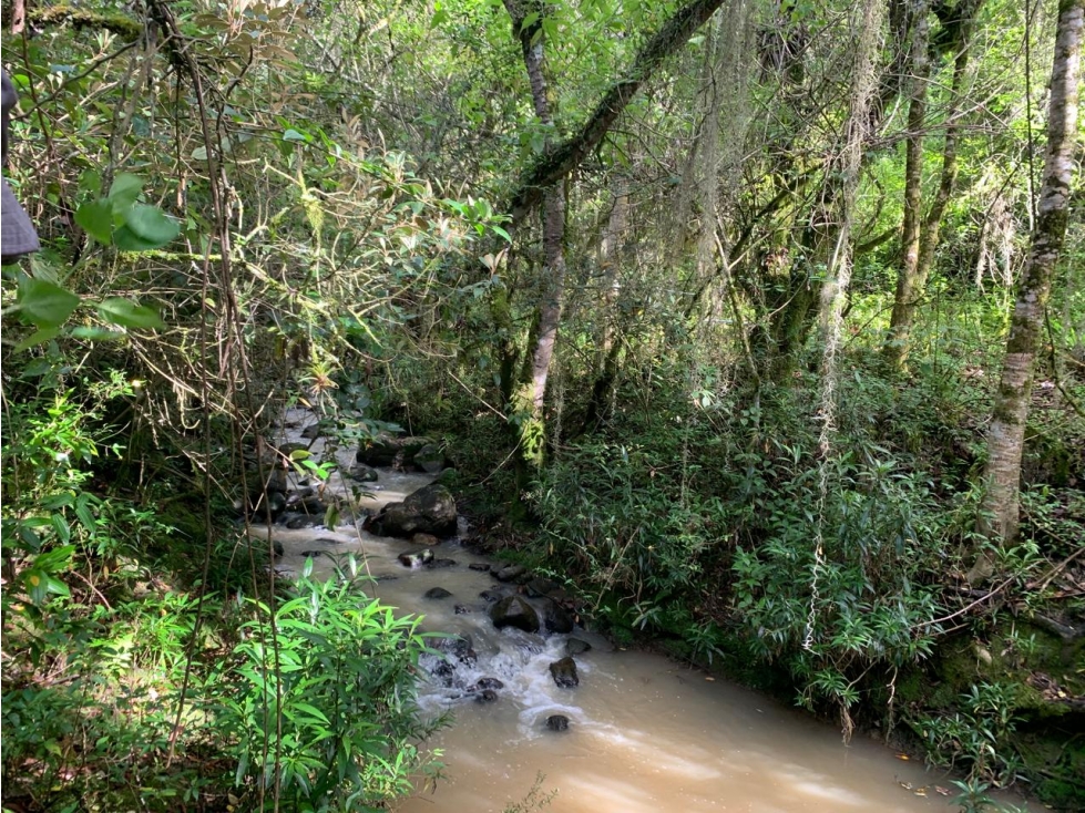 Lote Vereda Sabana Sector La Rosita - 5