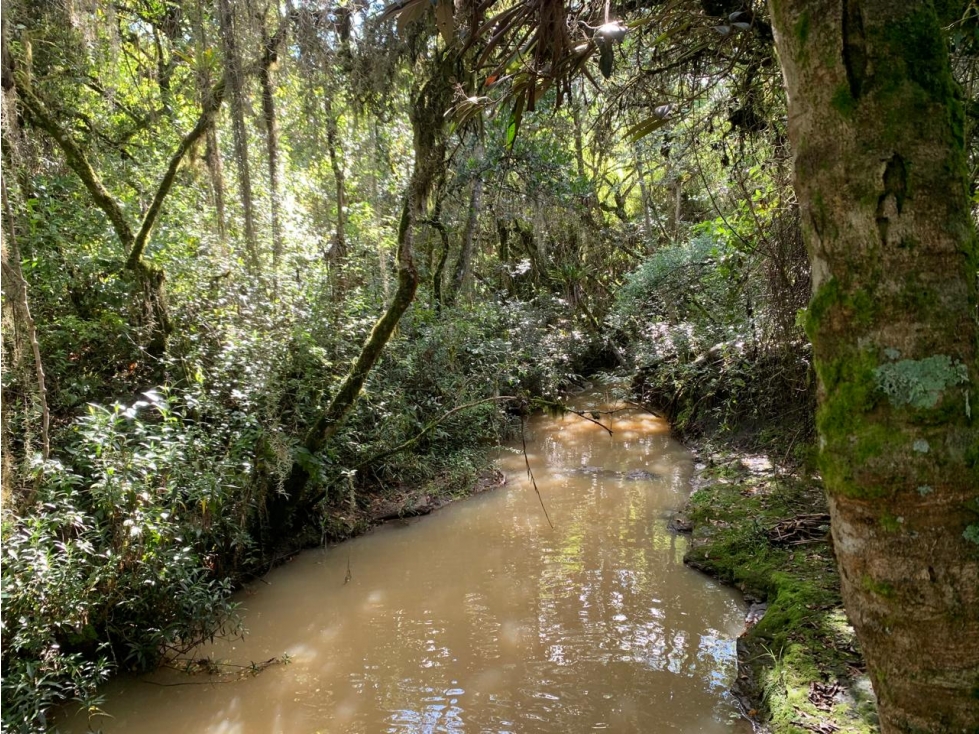 Lote Vereda Sabana Sector La Rosita - 4