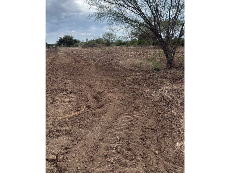 Terreno en Venta Camino al Chapotal, Atongo de Abajo, Cadereyta, N.L. - 2
