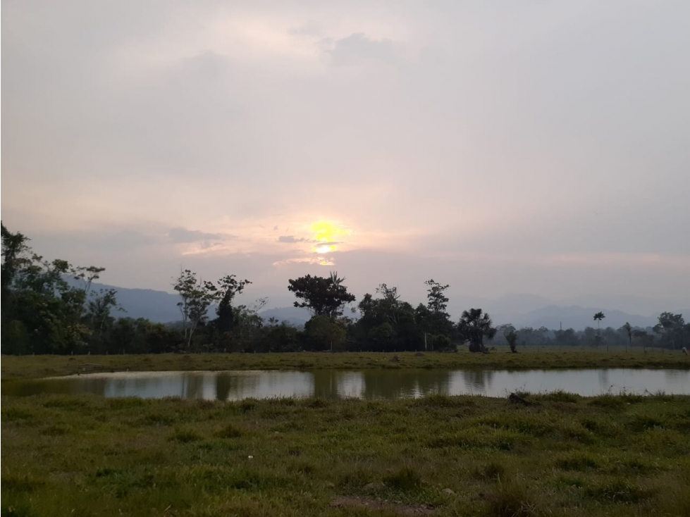 FUNDO PLANO Y FÉRTIL DE 152 HA. EN ISCOZACÍN - PALCAZÚ / OXAPAMPA - 2