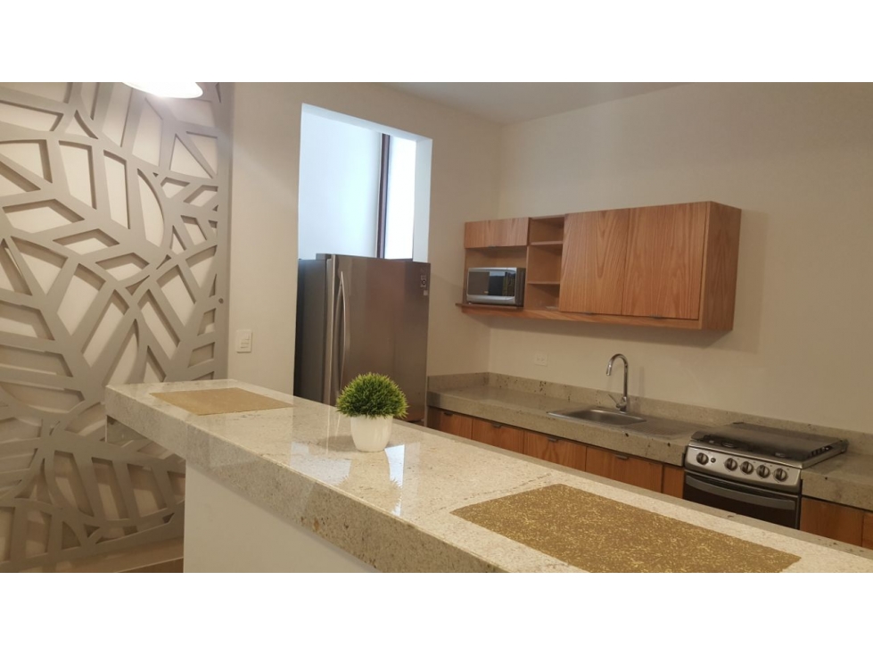 Departamento en renta amueblado, Ciudad del Carmen. - 3