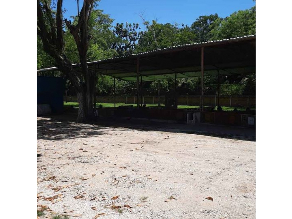 TERRENO EN RENTA EN R/A GONZALEZ 1RA SECCION - 1