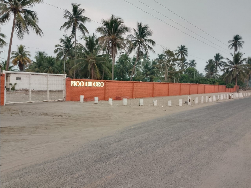 LOTE RUSTICO EN VENTA (CENTLA, TABASCO) - 1