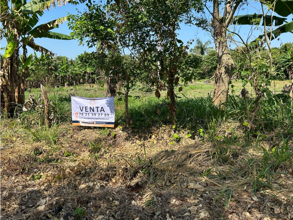 TERRENO EN VENTA PARRILLA 5TA SECCION - 2