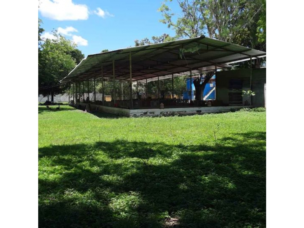 TERRENO EN RENTA EN R/A GONZALEZ 1RA SECCION - 5