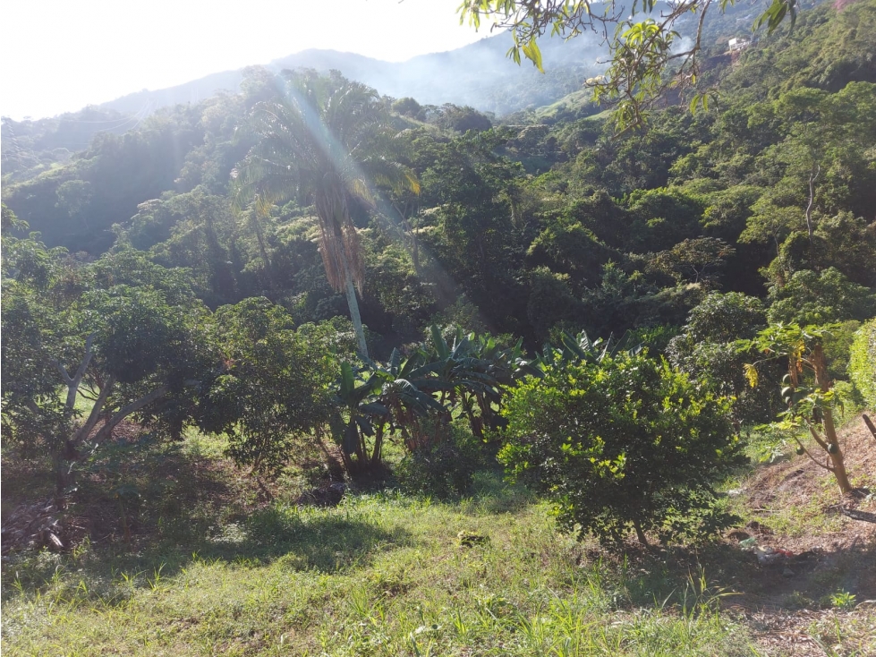 LOTE EN VENTA CONJUNTO LOMA LINDA, ANAPOIMA C/MARCA - 1