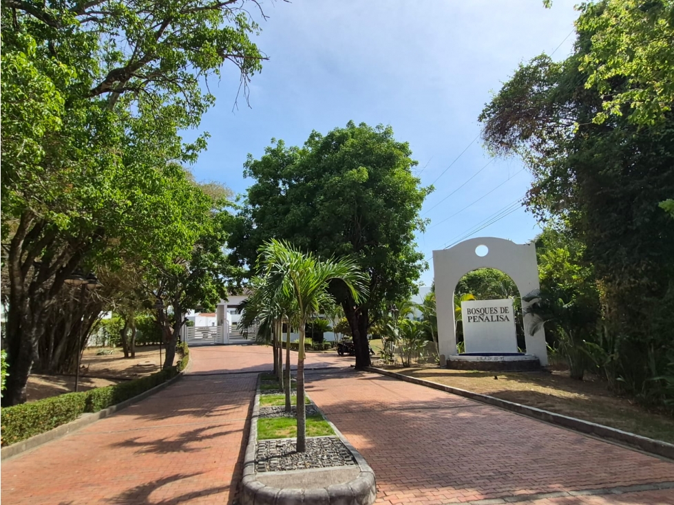 LOTE EN VENTA CONJUNTO BOSQUES DE PEÑALISA RICAURTE, CUNDINAMARCA - 1