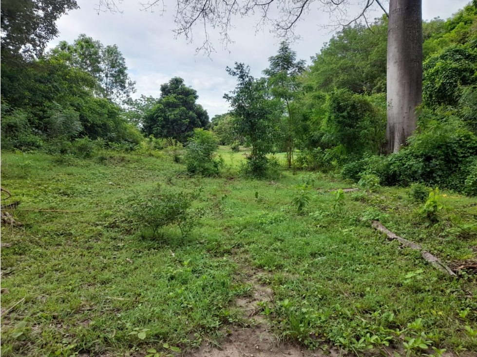 LOTES PARA LA VENTA CONJUNTO MANANTIAL DE PEÑALISA, RICAURTE C/MARCA - 5