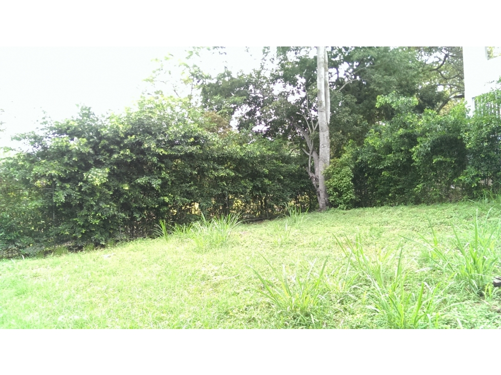 LOTES PARA LA VENTA CONJUNTO MANANTIAL DE PEÑALISA, RICAURTE C/MARCA - 4