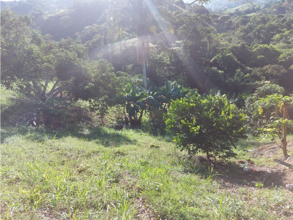 LOTE EN VENTA CONJUNTO LOMA LINDA, ANAPOIMA C/MARCA - 2