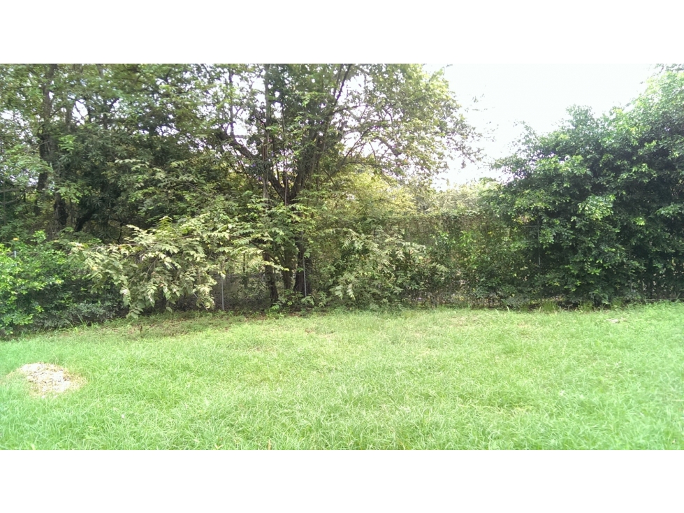 LOTES PARA LA VENTA CONJUNTO MANANTIAL DE PEÑALISA, RICAURTE C/MARCA - 6