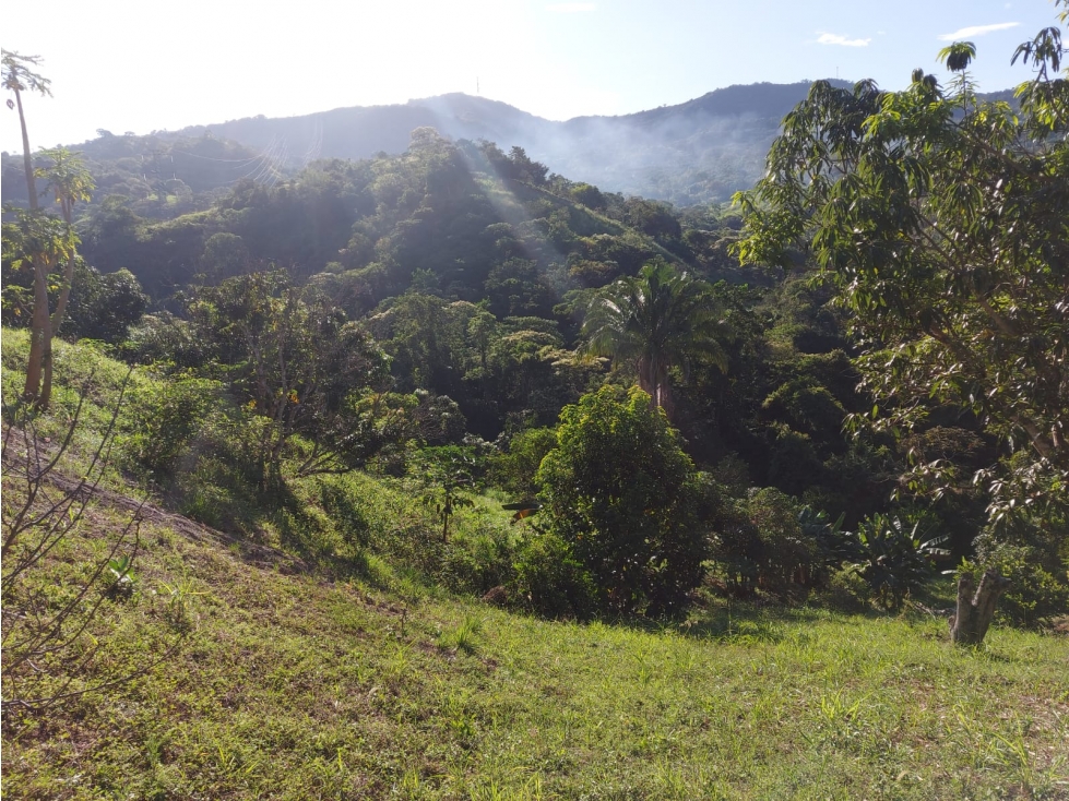 LOTE EN VENTA CONJUNTO LOMA LINDA, ANAPOIMA C/MARCA - 3