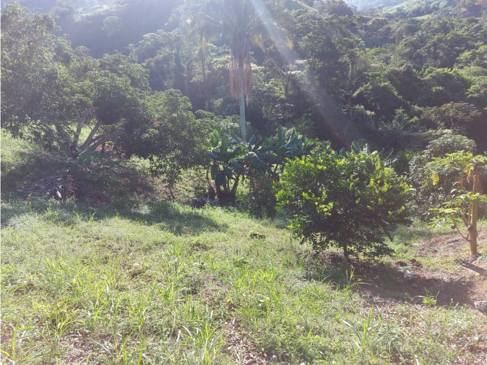 LOTE EN VENTA CONJUNTO LOMA LINDA, ANAPOIMA C/MARCA - 4