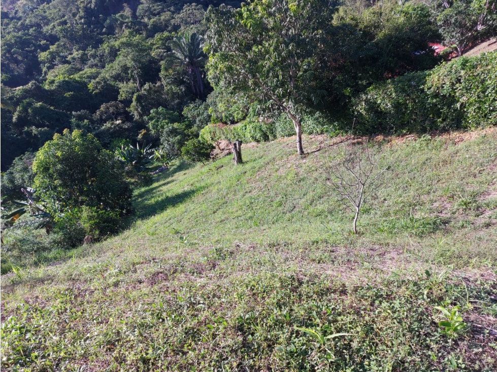 LOTE EN VENTA CONJUNTO LOMA LINDA, ANAPOIMA C/MARCA - 5