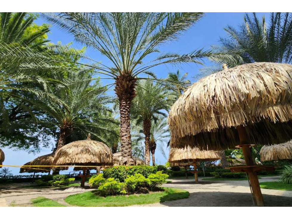Apartamento en primera linea - playa Pozos Colorados - 005 — foto 3