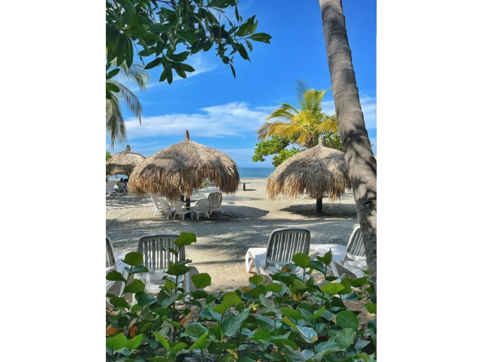 Apartamento en renta primera línea de playa irotama del sol-005 — foto 4