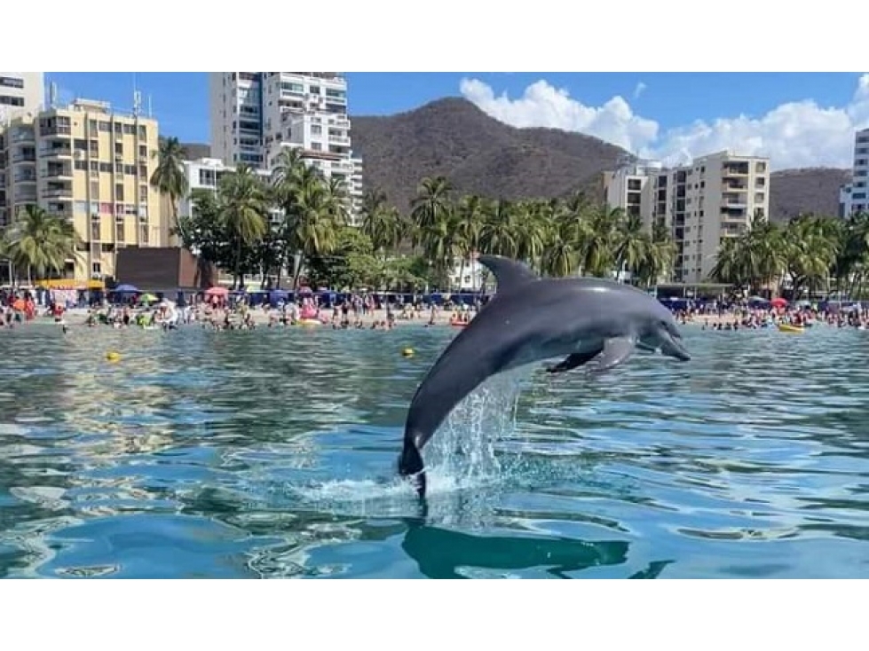 Apartamento Turístico en primera Línea de playa - Rodadero 005 — foto 3