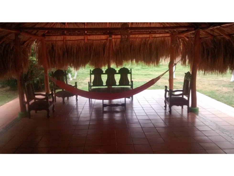 HERMOSA FINCA PRODUCTIVA EN EL SECTOR DE TEYUNA - 005 — foto 5