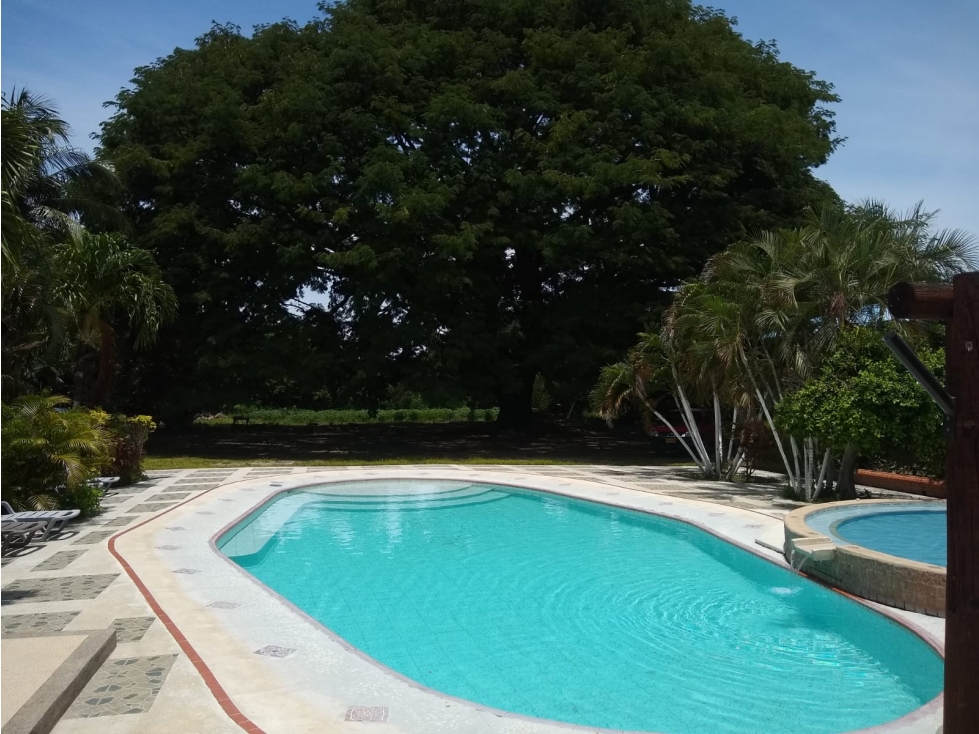 HERMOSA FINCA PRODUCTIVA EN EL SECTOR DE TEYUNA - 005