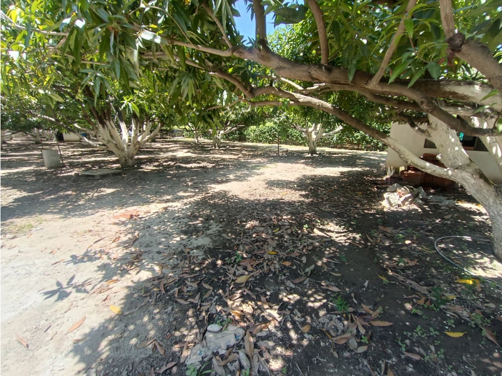 LOTES DE 270 MTS CERCA AL TEYUNA - 070 — foto 5