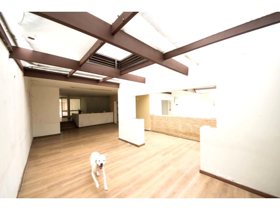 Oficina para Arriendo en el Barrio Chico — foto 4