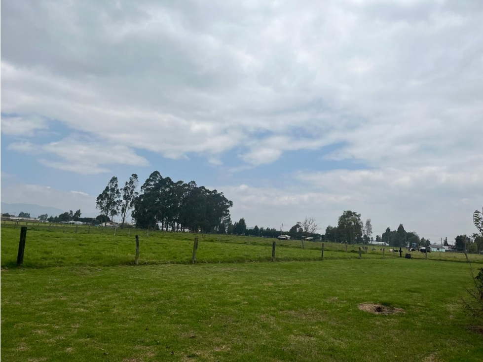 Excelente lote para la venta en Guaymaral — foto 5