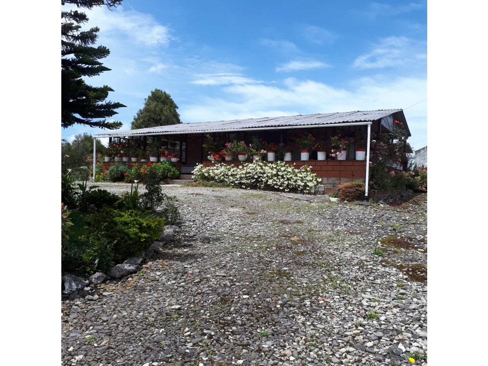 Finca En San Pedro De Los Milagros - En Venta