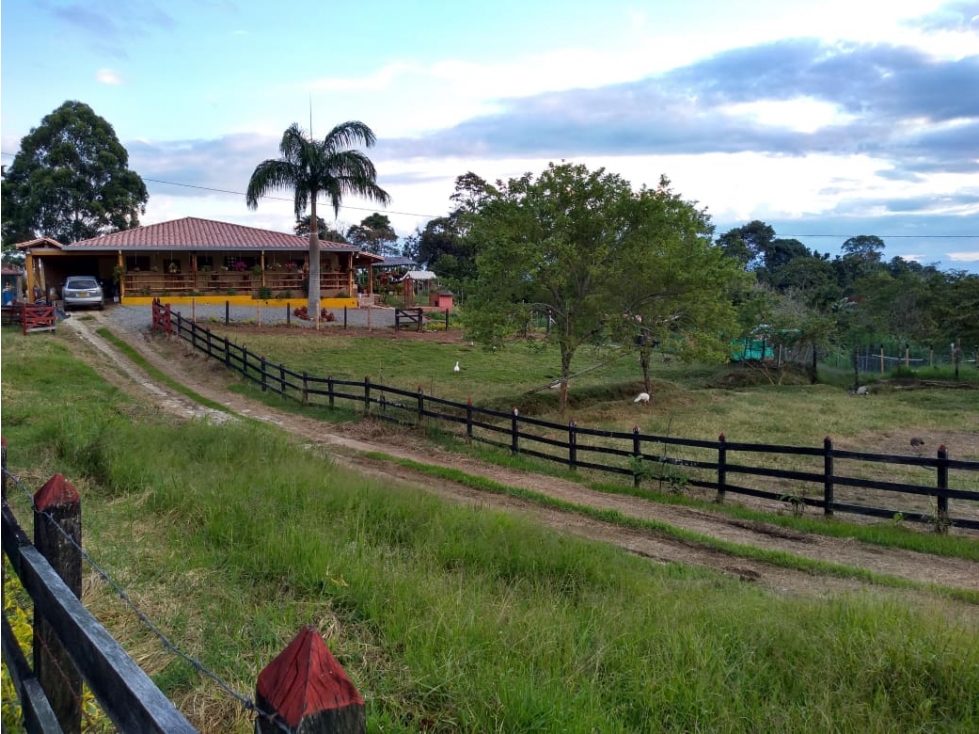 Finca en Fredonia - En Venta - 3