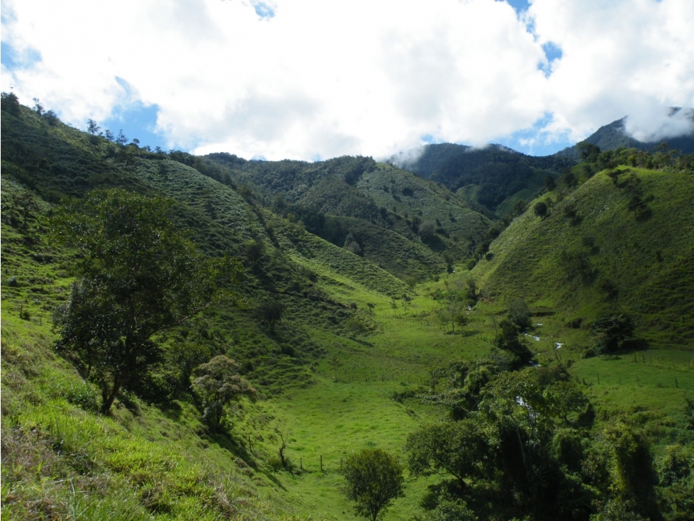 Finca En Abriaqui, Antioquia - Venta - 4