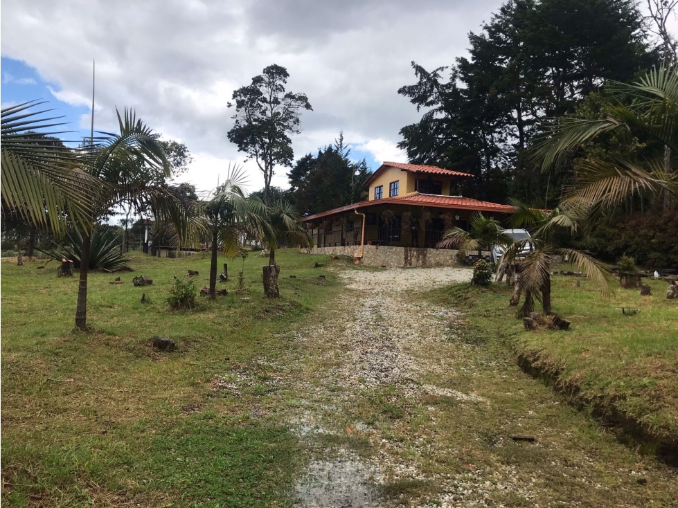 Finca en Santa Elena, Vereda El Plan - En Venta - 2