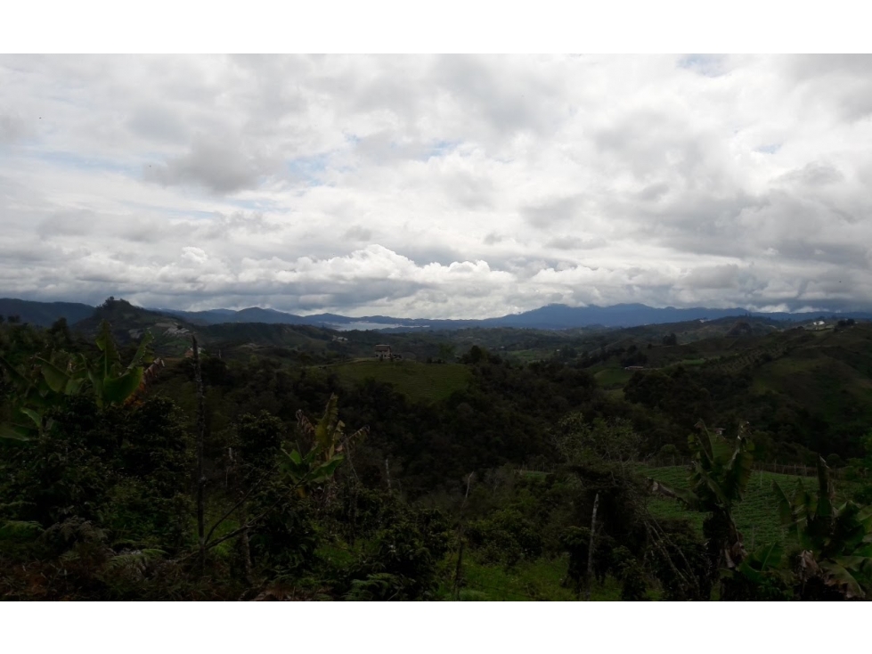 Lote En San Vicente Ferrer Vereda Peñolcito - Se Vende — foto 3