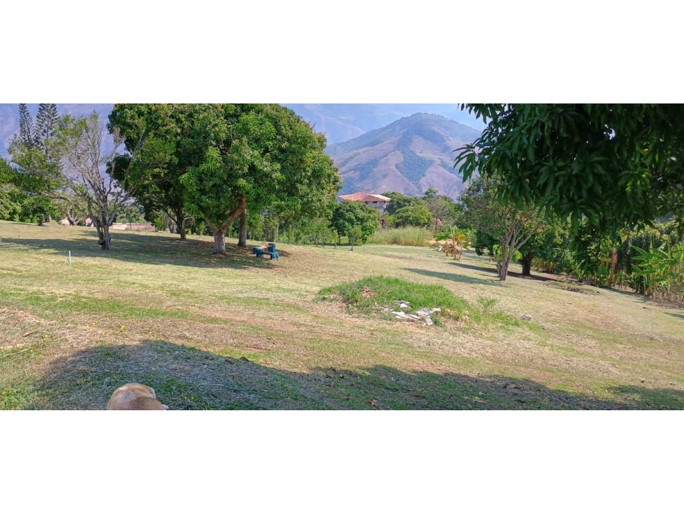 Lote en Titiribí Antioquia de 3.200 mts - Se vende - 2
