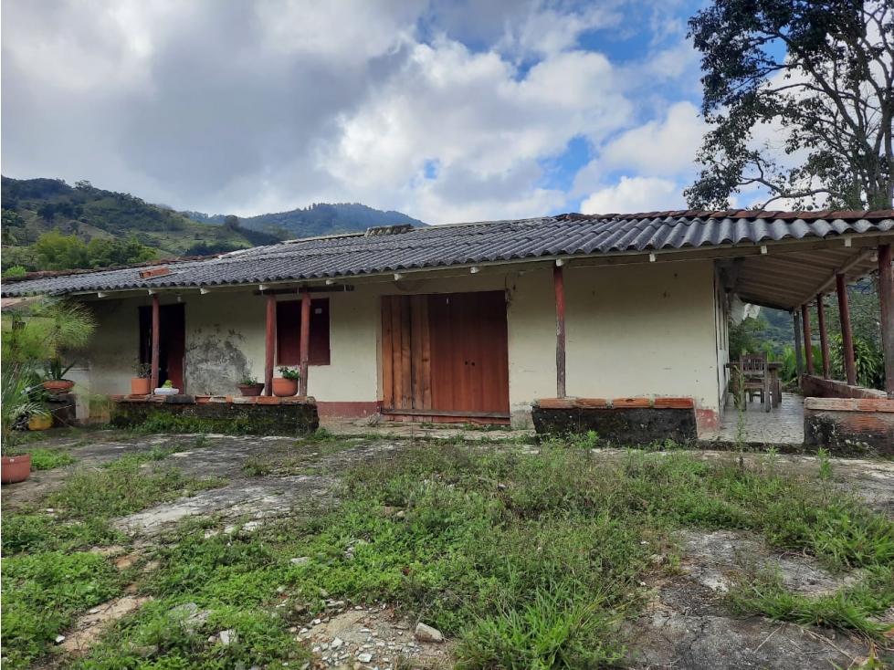 Campus en Jericó Antioquia - en Venta - 1