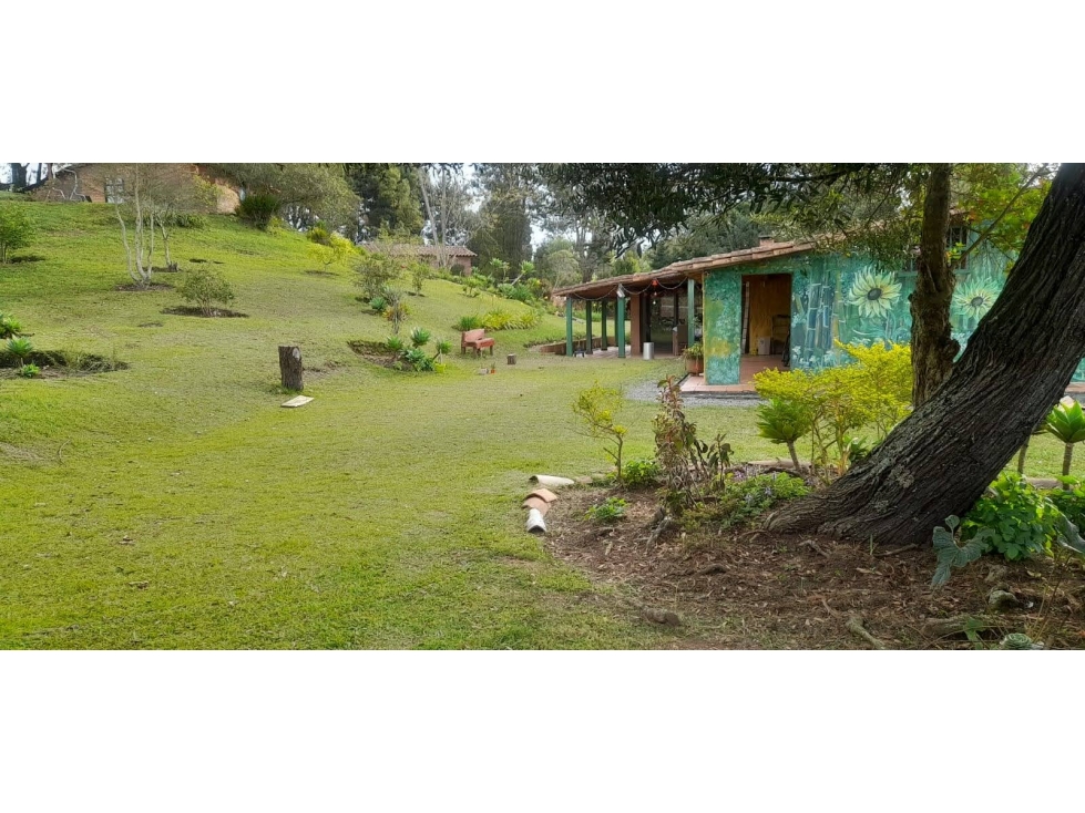 Finca en Santa Elena - en venta
