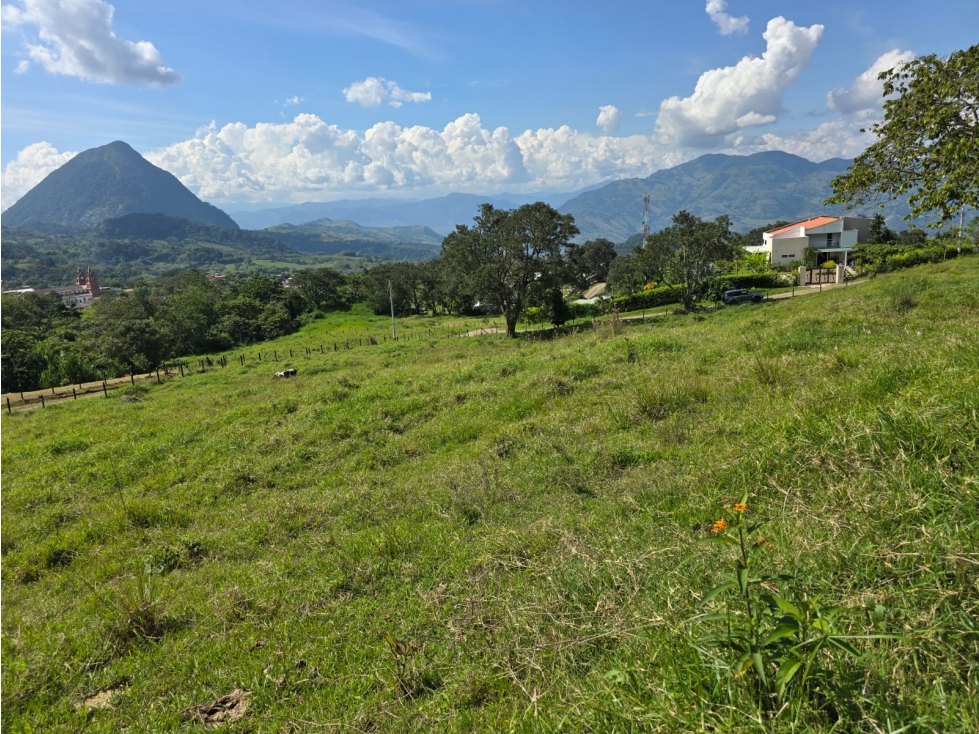 Lote En Venecia-Antioquia - En Venta - 3