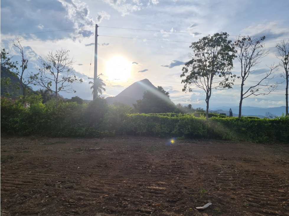 Proyecto En Venecia Antioquia - En Venta - 4