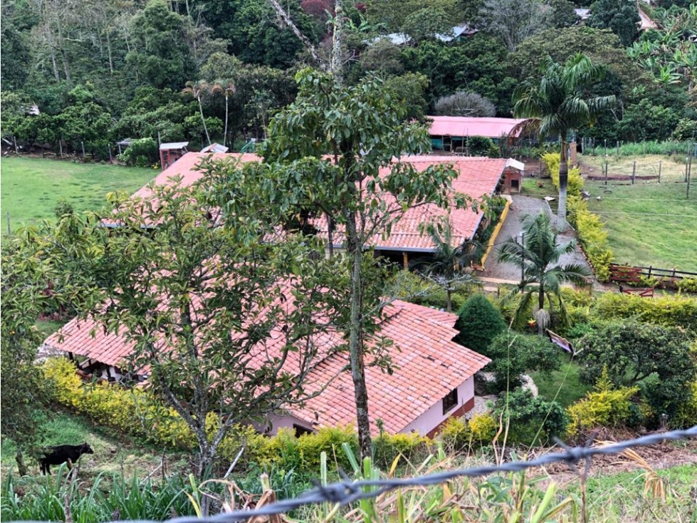 Finca en Fredonia - En Venta - 2