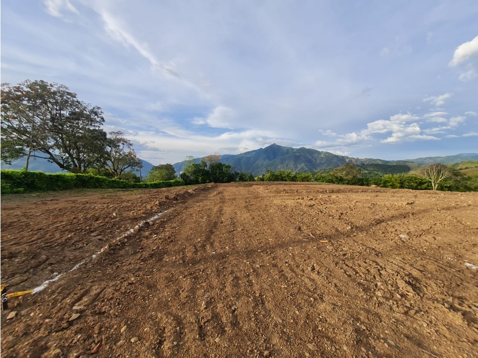 Proyecto En Venecia Antioquia - En Venta - 6