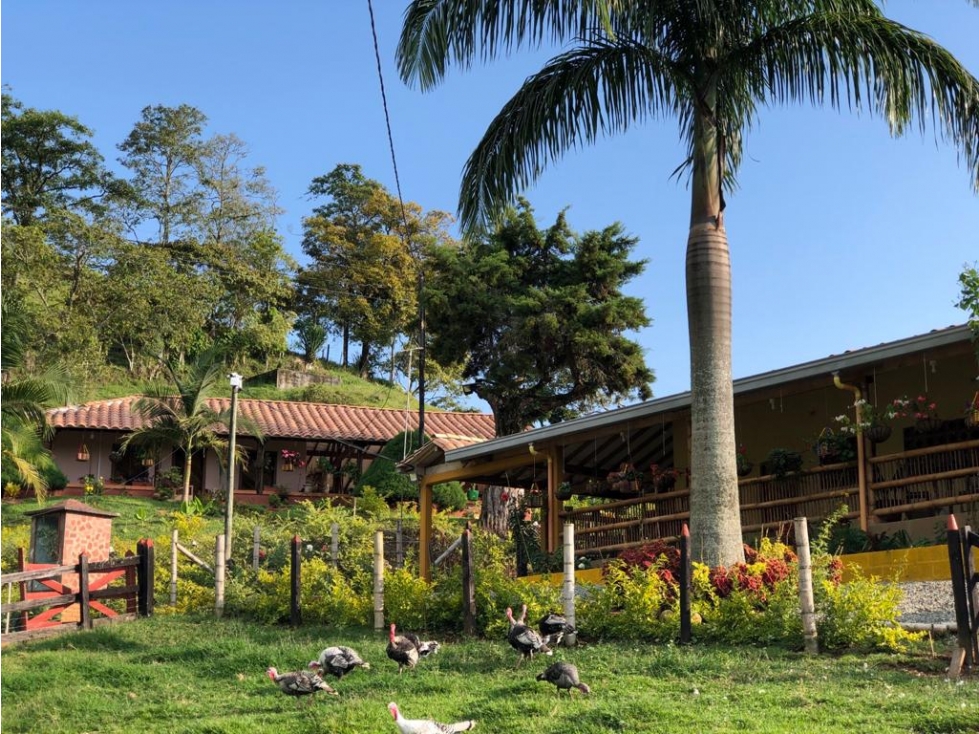 Finca en Fredonia - En Venta - 2