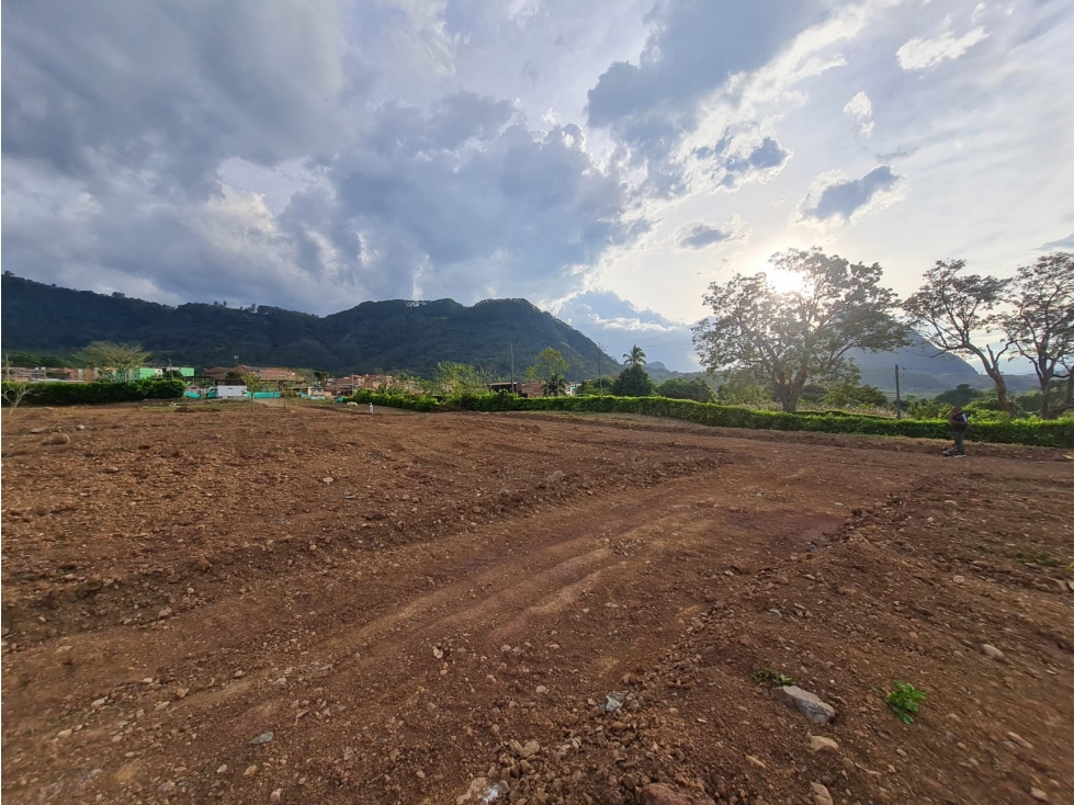 Proyecto En Venecia Antioquia - En Venta - 5