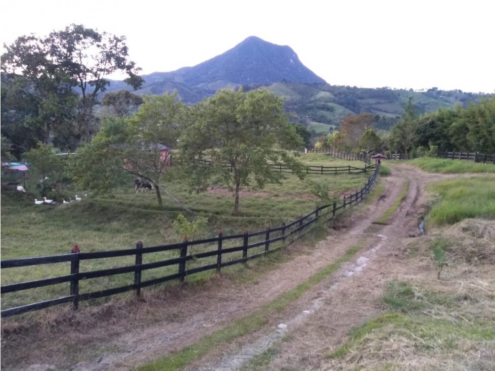 Finca en Fredonia - En Venta - 3