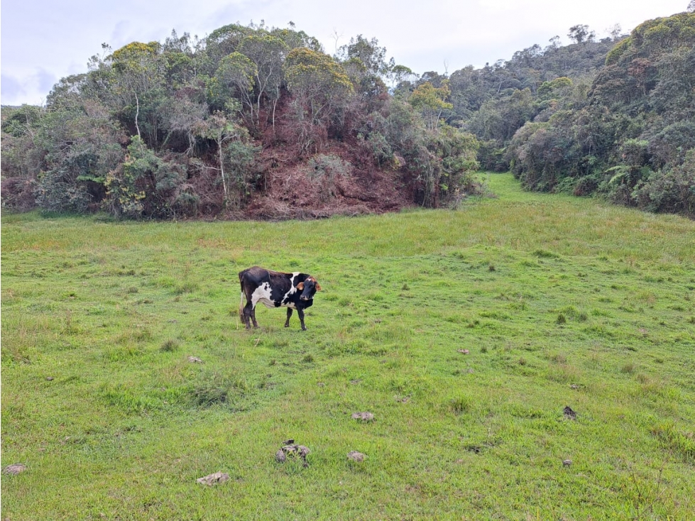 Lote en Santuario - En Venta