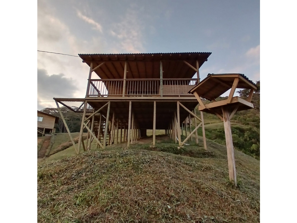Finca en Alejandría- en venta - 2