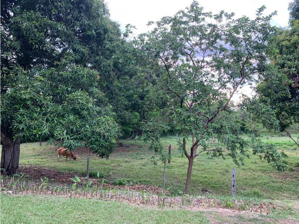 Finca en San Jeronimo - en venta — foto 2